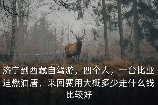 西安到濟寧自駕費用是多少,濟寧到西藏自駕游