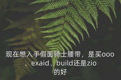 現(xiàn)在想入手假面騎士腰帶，是買ooo、exaid、build還是zio的好