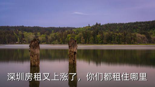 深圳房租又上漲了，你們都租住哪里