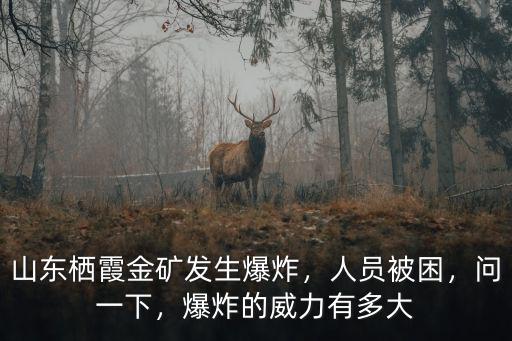 山東棲霞金礦一共被困多少人,山東棲霞金礦發(fā)生爆炸