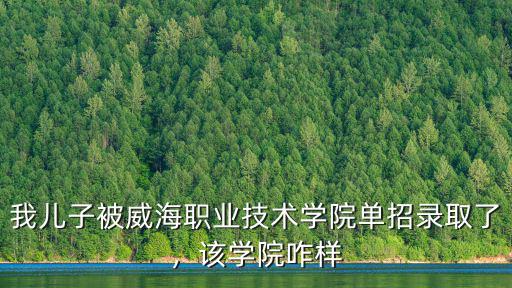 威海三聯學院多少分錄取,哈工大威海校區怎么樣