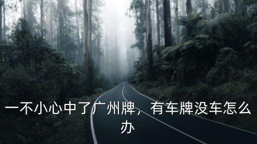 廣州對于放棄廣州車牌怎么處理,一不小心中了廣州牌