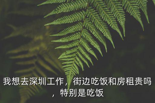 深圳消費(fèi)水平是多少,在深圳一個(gè)人