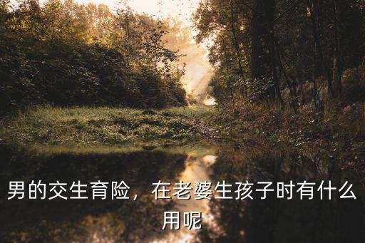 廣州妻子怎么用丈夫生育險(xiǎn),男的交生育險(xiǎn)
