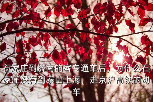 石家莊到濟南的客專通車后，為什么石家莊沒有到泰山上海，走京滬高鐵的動車
