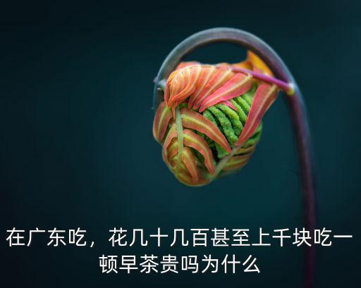 在廣東吃，花幾十幾百甚至上千塊吃一頓早茶貴嗎為什么