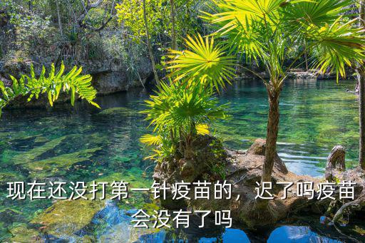東莞第一針疫苗沒打怎么辦,現在還沒打第一針疫苗的