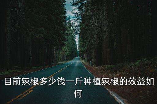 目前辣椒多少錢一斤種植辣椒的效益如何