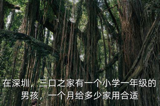 在深圳，三口之家有一個小學(xué)一年級的男孩，一個月給多少家用合適