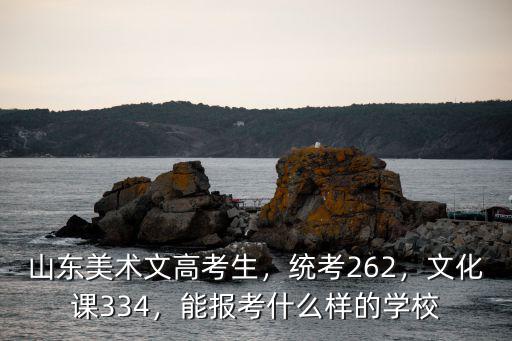 山東美術文高考生，統考262，文化課334，能報考什么樣的學校