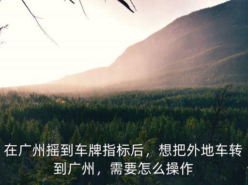 廣州指標搖號怎么改資料,在廣州搖到車牌指標后