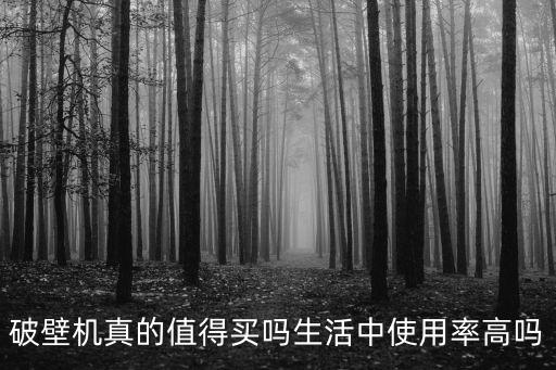 破壁機真的值得買嗎生活中使用率高嗎