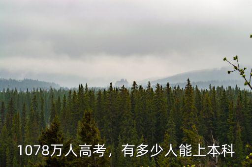 山東高考多少人能有學上,有多少人能上本科