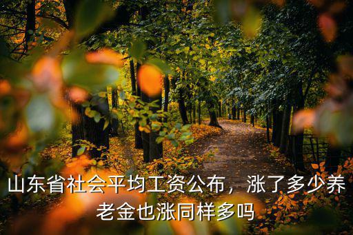 山東省社會平均工資公布，漲了多少養(yǎng)老金也漲同樣多嗎