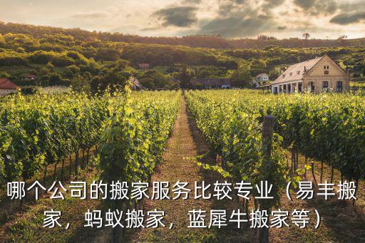 哪個公司的搬家服務比較專業（易豐搬家，螞蟻搬家，藍犀牛搬家等）