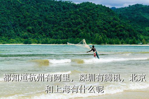 都知道杭州有阿里，深圳有騰訊，北京和上海有什么呢