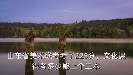 山東美術統考2018分數線是多少,山東省美術聯考考了225分