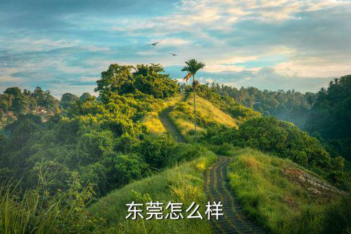 東莞哪里的車最難,東莞最大的汽車城在哪里