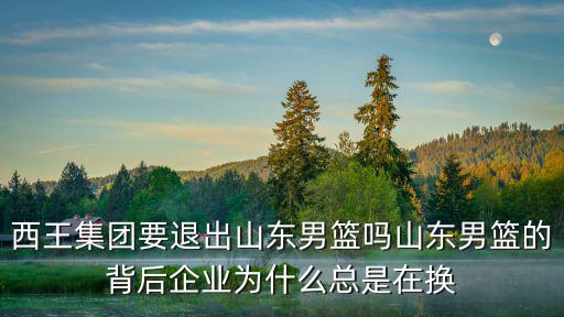 西王集團要退出山東男籃嗎山東男籃的背后企業為什么總是在換