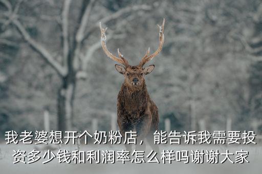 我老婆想開個奶粉店，能告訴我需要投資多少錢和利潤率怎么樣嗎謝謝大家