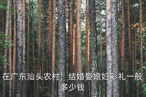 在廣東汕頭農村，結婚娶媳婦彩禮一般多少錢