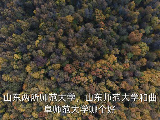 山東兩所師范大學(xué)，山東師范大學(xué)和曲阜師范大學(xué)哪個好