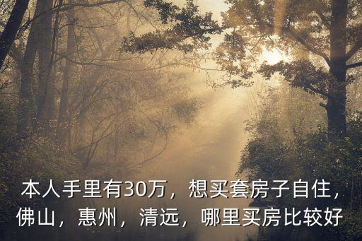 本人手里有30萬，想買套房子自住，佛山，惠州，清遠，哪里買房比較好