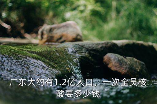 廣東大約有1.2億人口，一次全員核酸要多少錢