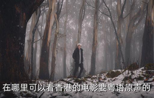 廣東哪里可以下載免費的電影,在哪里可以看香港的電影