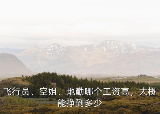 飛行員、空姐、地勤哪個工資高，大概能掙到多少
