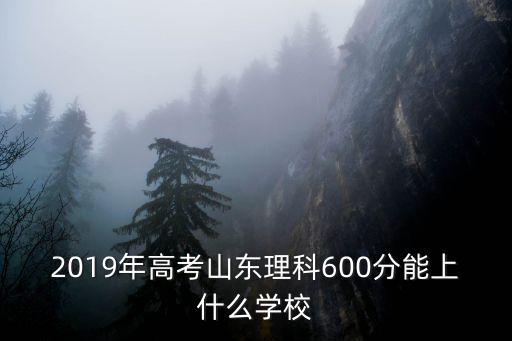 2019山東高考分數線超600分有多少,有哪些高?？梢赃x擇