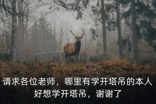 請(qǐng)求各位老師，哪里有學(xué)開塔吊的本人好想學(xué)開塔吊，謝謝了