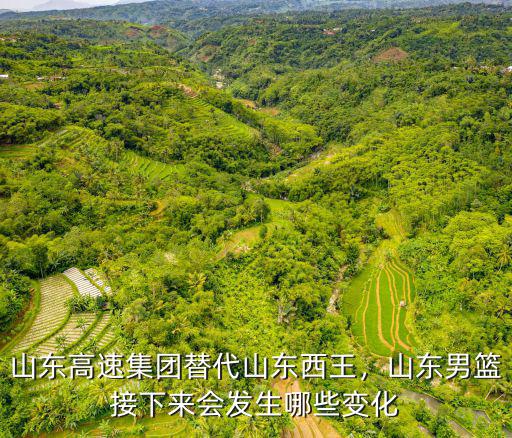 山東高速集團替代山東西王，山東男籃接下來會發生哪些變化