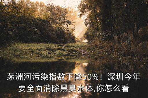 茅洲河污染指數(shù)下降50%！深圳今年要全面消除黑臭水體,你怎么看