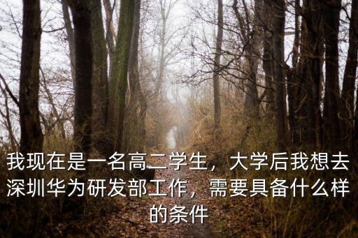 我現(xiàn)在是一名高二學生，大學后我想去深圳華為研發(fā)部工作，需要具備什么樣的條件