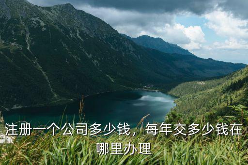 深圳代注冊(cè)公司費(fèi)用是多少,在深圳如何注冊(cè)成立一家公司