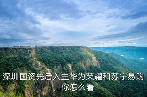 深圳國資先后入主華為榮耀和蘇寧易購，你怎么看