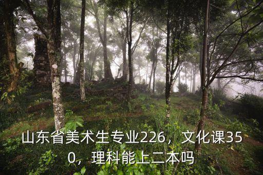 山東省美術生專業226，文化課350，理科能上二本嗎