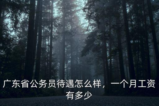 廣州處級干部一月多少工資,一個月工資有多少
