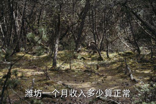 濰坊一個(gè)月收入多少算正常