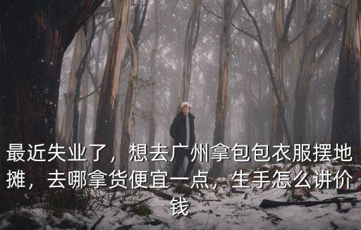 去廣州進衣服怎么拿貨,想去廣州拿包包衣服擺地攤