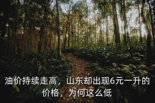 今日山東的油價是多少,山東卻出現6元一升的價格
