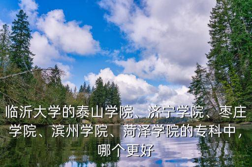 臨沂大學(xué)的泰山學(xué)院、濟寧學(xué)院、棗莊學(xué)院、濱州學(xué)院、菏澤學(xué)院的專科中，哪個更好