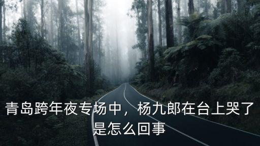 張云雷青島跨年多少座位,青島跨年夜專場中