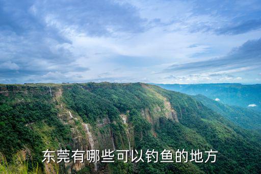 東莞有哪些可以釣魚的地方