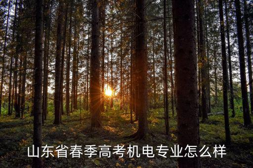 山東省春季高考一共有多少專業,山東省春季高考有多少專業