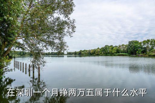 在深圳一個月多少錢算窮人,剛剛辭了工作來深圳
