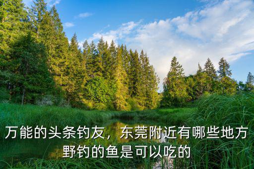 東莞哪里有免費(fèi)的魚(yú)釣場(chǎng),東莞有哪些可以釣魚(yú)的地方