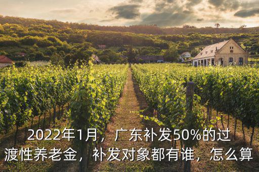 廣東補(bǔ)發(fā)養(yǎng)老金多少,養(yǎng)老金平均能漲多少錢