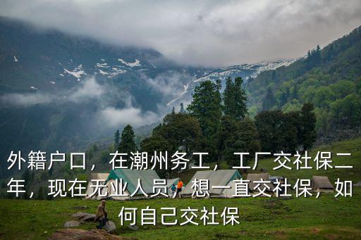 潮州自己交社保怎么辦理,工廠交社保二年